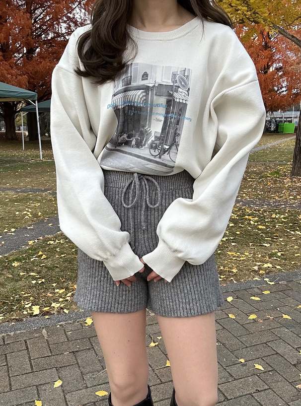 フォトプリントショート丈ニットトップス[dh1343] | レディース