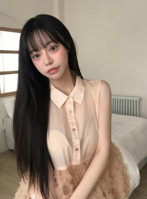 チュールフリルシアーノースリーブブラウス