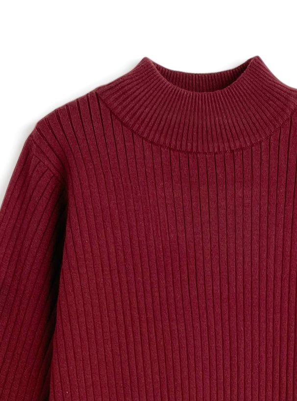 ボトルネック配色リブニットトップス