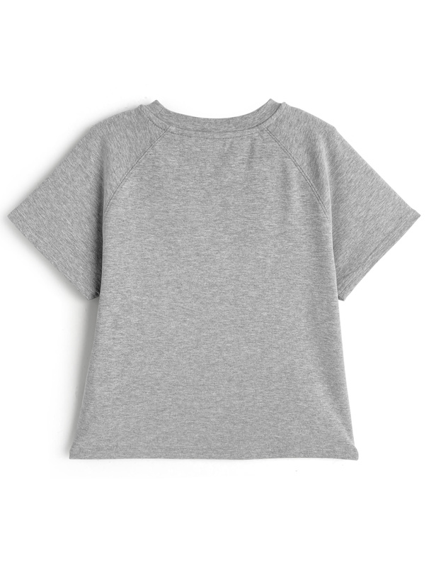 フェルトロゴ刺繍Tシャツ