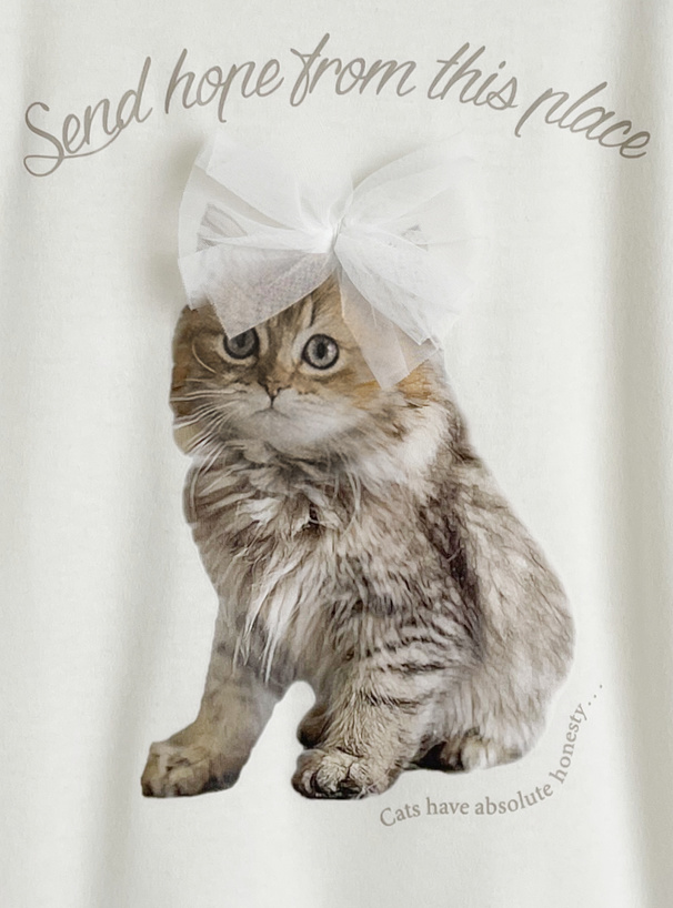 トップス feather tulle knit T-shirt senee SENEE feather tulle knit T-shirt ファッション通販