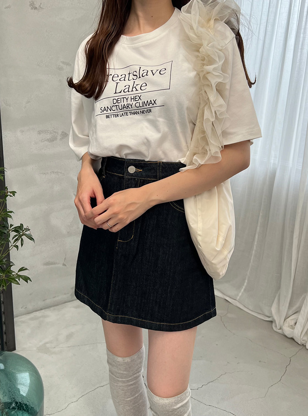 ボックスロゴTシャツ