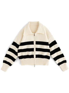 ボーダー柄ダブルジップニットトップス