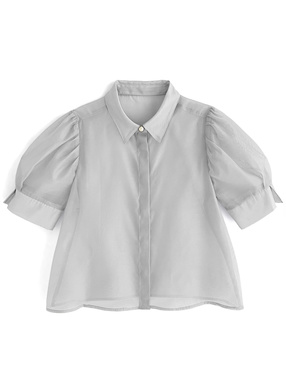 パフスリーブシアーブラウス