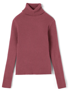 タートルネックリブニットトップス
