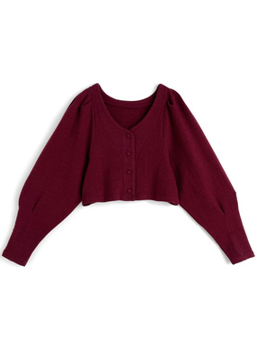 Vネックショート丈カーディガン