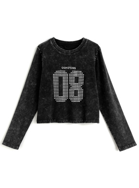 ハートナンバーロゴピグメントロンＴ