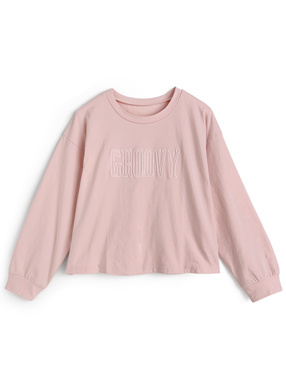 ロゴ刺繍ロンＴ